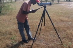 Observateur sénégalais 1