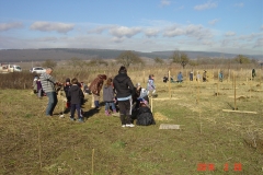 cfpb-Morey-Saint-Denis-02-2014-005