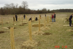 cfpb-Morey-Saint-Denis-02-2014-012