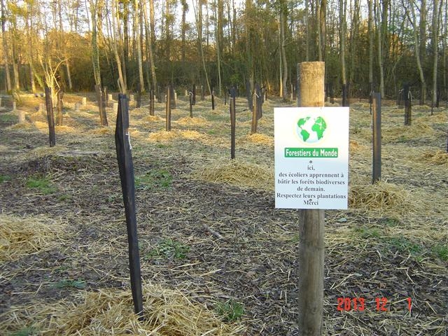 cfpb Clenay 01-12-2013.JPG