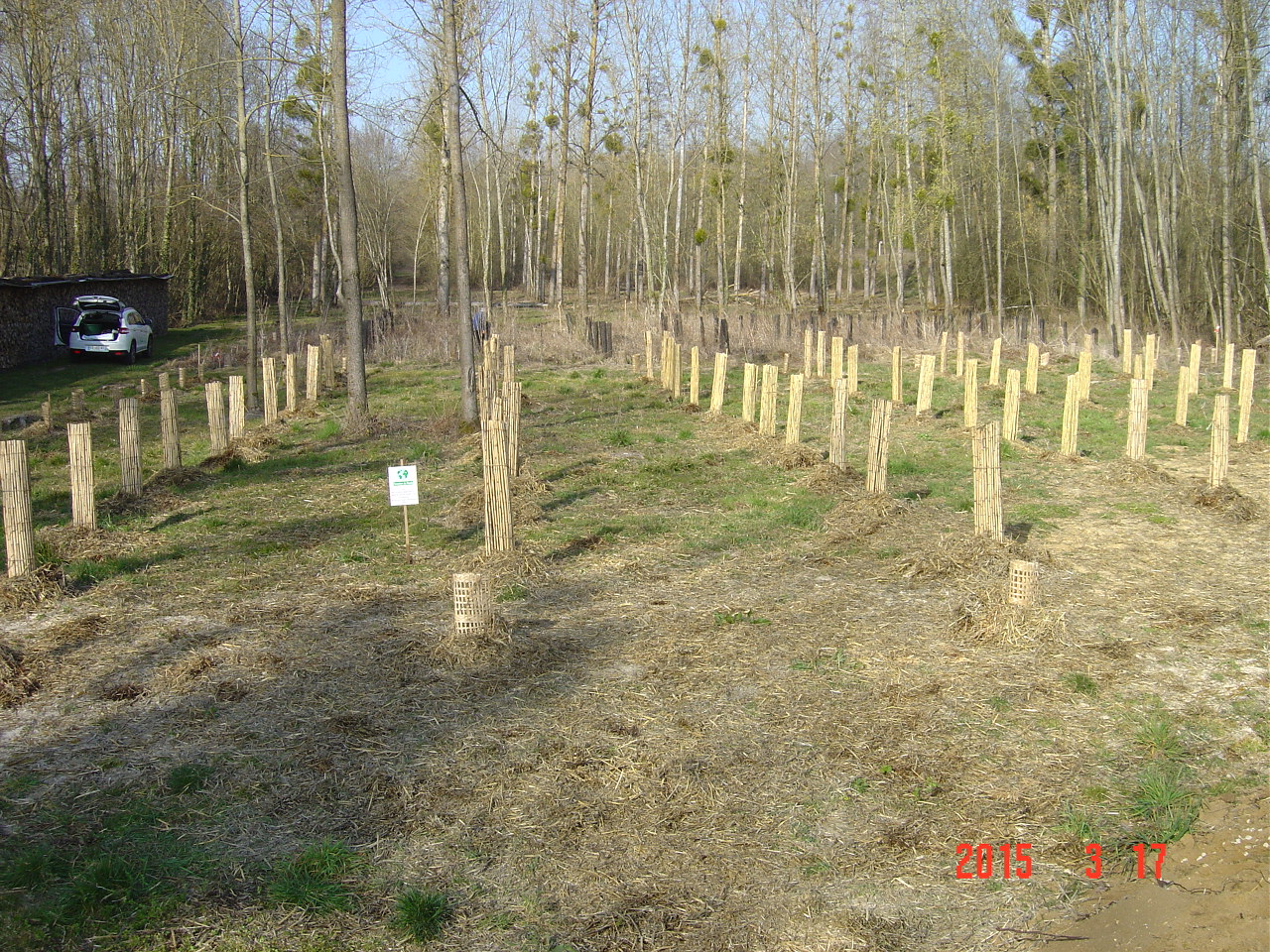 reforestation biodiverse Clenay 17 mars 2015 2.JPG