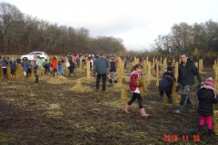 Plantation du neuvième bosquet biodivers. Création forestière pédagogique de Saint Julien. Vendredi 30 novembre 2018