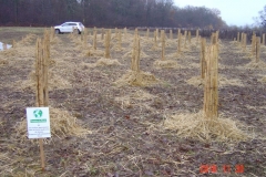 Plantation du neuvième bosquet biodivers. Création forestière pédagogique de Saint Julien. Vendredi 30 novembre 2018