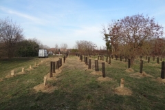 Afforestation pédagogique biodiverse de Neuilly - Crimolois. Année scolaire 2022-2023