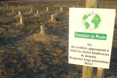 La création forestière pédagogique biodiverse de Morey Saint Denis