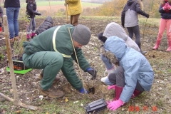 Le garde forestier Henri-François PAYA apporte son aide aux écoliers de l'Etang Vergy. Reforestation pédagogique biodiverse de Reulle Vergy. 19 novembre 2018.