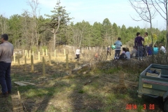 cfpb-Savigny-plantation-mars-2014-002-Small