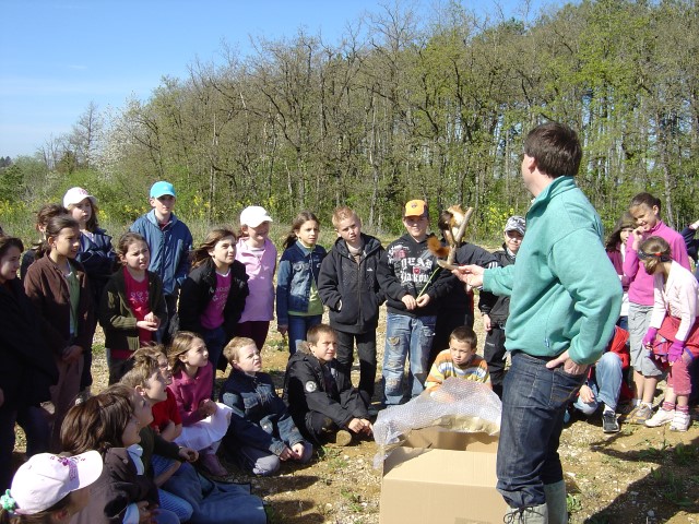 Présentation de spécimens naturalisés. Réhabilitation forestière pédagogique biodiverse de Villers la faye.