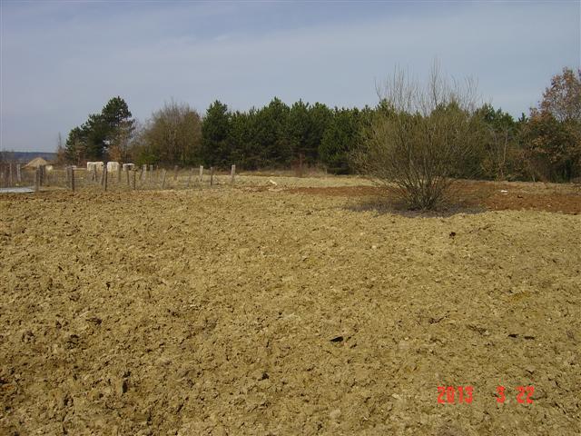 Le terrain est totalement prêt. Réhabilitation forestière pédagogique biodiverse de Villers la faye. Année scolaire 2012-2013