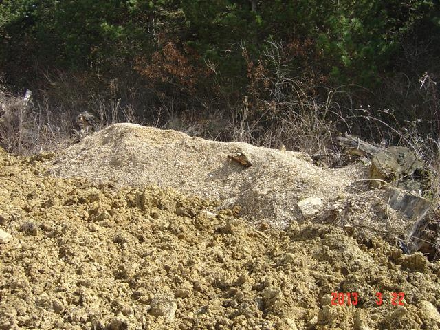 Le sol décaissé contenant les rhizome sde la renouée. Réhabilitation forestière pédagogique biodiverse de Villers la faye. Année scolaire 2012-2013