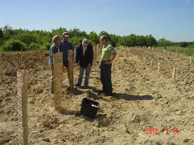 Contrôle de la plantation pédagogique par le garde forestier. Réhabilitation forestière pédagogique biodiverse de Villers-la-faye. Année scolaire 2011-2012