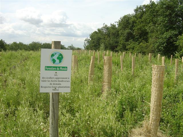 Signalétique. Réhabilitation pédagogique biodiverse de Villers-la-Faye. Année scolaire 2010-2011.