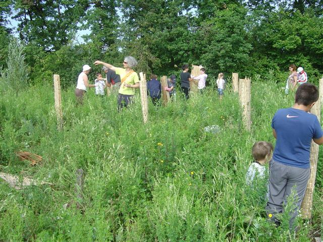 Installation des grandes protections biodégradables en bambou. Réhabilitation pédagogique biodiverse de Villers-la-Faye. Année scolaire 2010-2011.