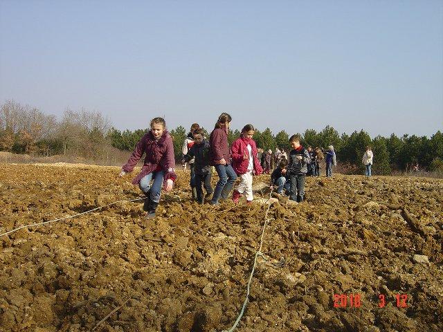 Implantation des jalons. Réhabilitation forestière pédagogique biodiverse de Villers la Faye vendredi 12 mars 2010.
