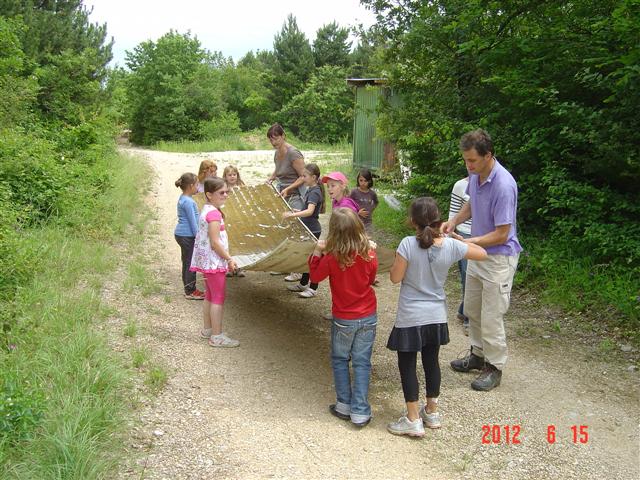 Dépose de tôles pour lutter contre la renouée du Japon. Réhabilitation forestière pédagogique biodiverse de Villers la Faye. Année scolaire 2011-2012.
