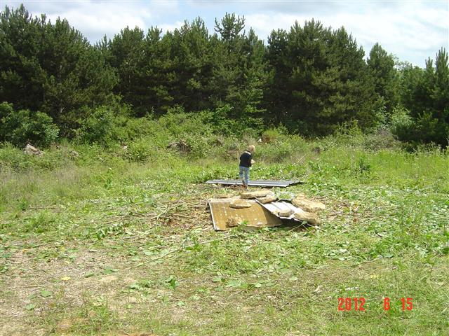Lutte contre la renouée du Japon (Fallopia japonica). Réhabilitation forestière pédagogique biodiverse de Villers la Faye. Année scolaire 2011-2012.