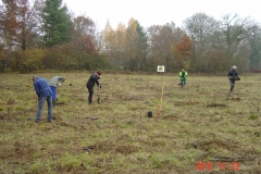 Plantation-St-Julien-23-11-2012-001