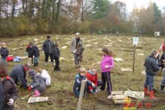 Plantation-St-Julien-23-11-2012-005