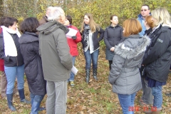 Plantation-St-Julien-23-11-2012-006