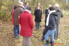 Plantation-St-Julien-23-11-2012-007