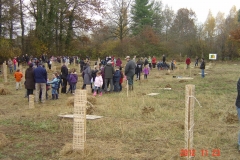 Plantation-St-Julien-23-11-2012-009