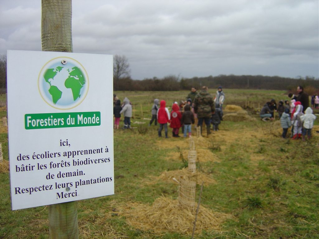 Création forestière pédagogique biodiverse de Morey Saint Denis. Plantation 19-20 janvier 2012.