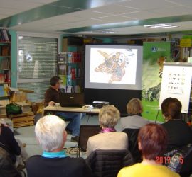 Soirée conférence Damier du frêne du 3 mai 2017 à la LPO Côte d'Or.