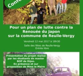 Affiche soirée conférence 12 mai 2017. Plan de lutte contre la Renouée du Japon sur la commune de Reulle Vergy.