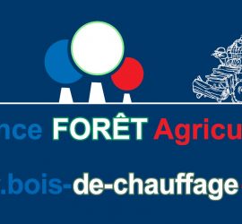 Logotype France Forêt Agriculture
