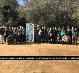 Conférenciers de la septième conférence internationale Cigogne noire en Espagne. 28 - 30 novembre 2018