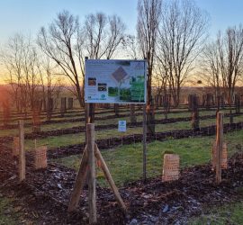 Afforestation pédagogique biodiverse de Quétigny. Année scolaire 2021-2022