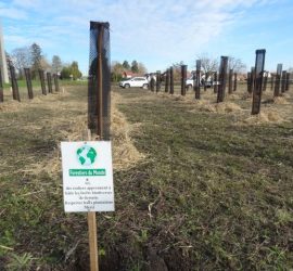 Afforestation pédagogique biodiverse plantation du 16 décembre 2022